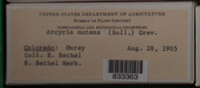 Image Associated With the Occurence